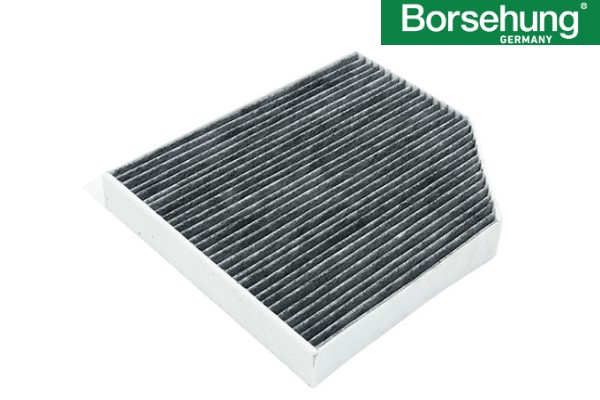 POLEN FİLTRESİ ( Karbonlu )