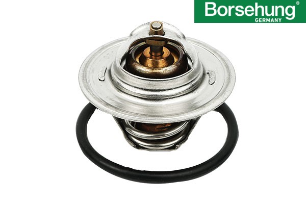TERMOSTAT 87-102 C